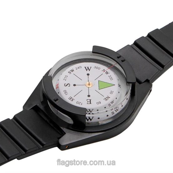 compass watch buy