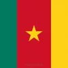 Купити прапор Камеруну (країни Камерун)
