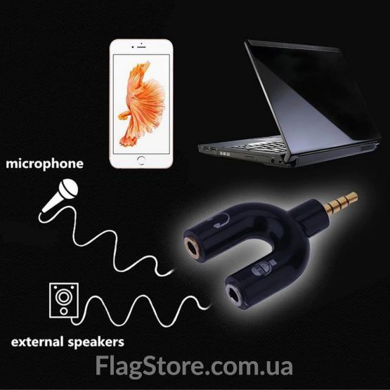 Order a 3.5 mm microphone and audio splitter