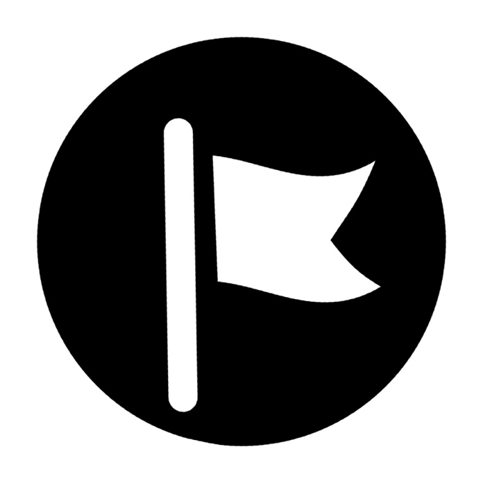 FlagStore.com.ua logo